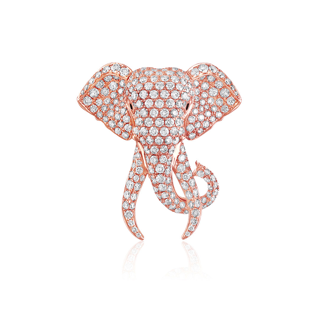 The Ek- Dantey Tiepin